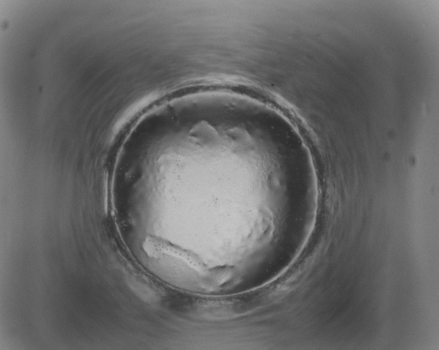 X0000083601171200702162201