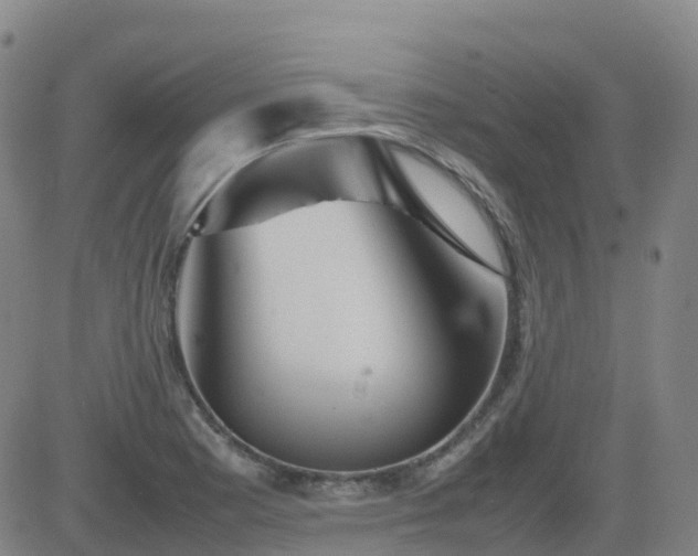 X0000083601177200702162201