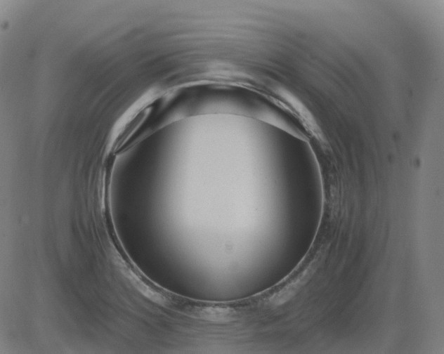 X0000083601180200702162201