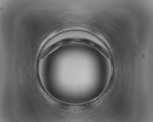 X0000083601181200702162201