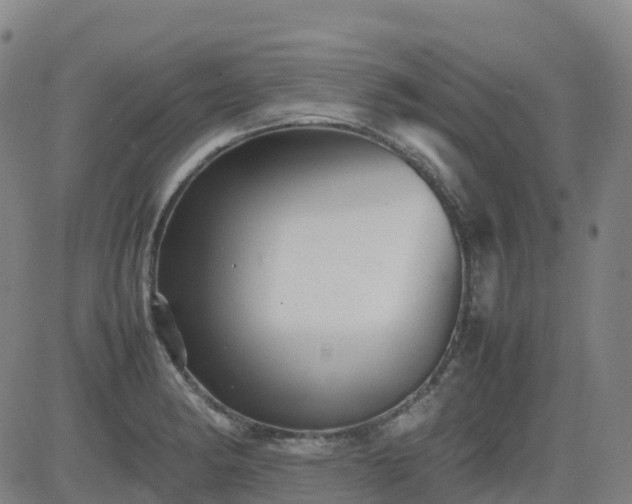 X0000083601182200702162201