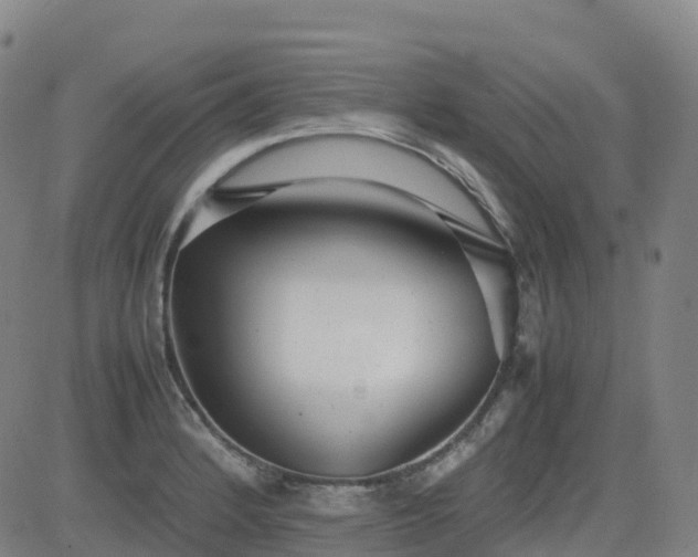 X0000083601184200702162201