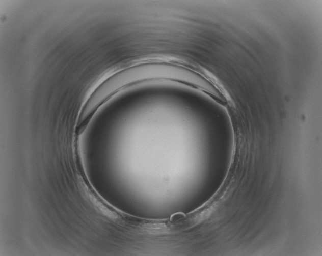 X0000083601186200702162201