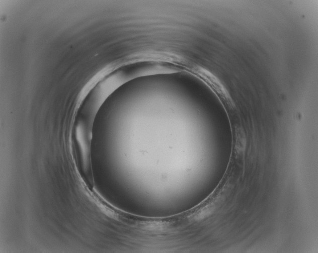 X0000083601188200702162201