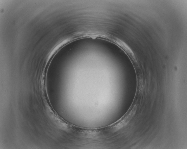X0000083601190200702162201