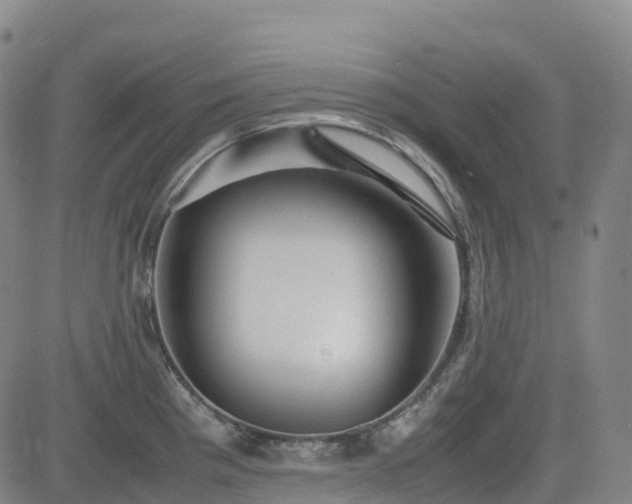 X0000083601193200702162201