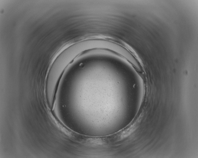 X0000083601194200702162201