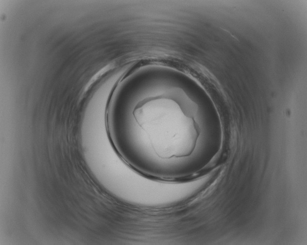 X0000083601210200702162200