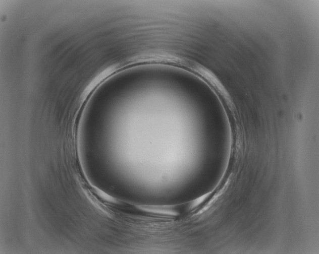 X0000083601242200702162200