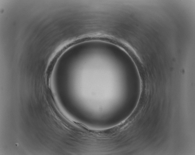 X0000083601270200702162159