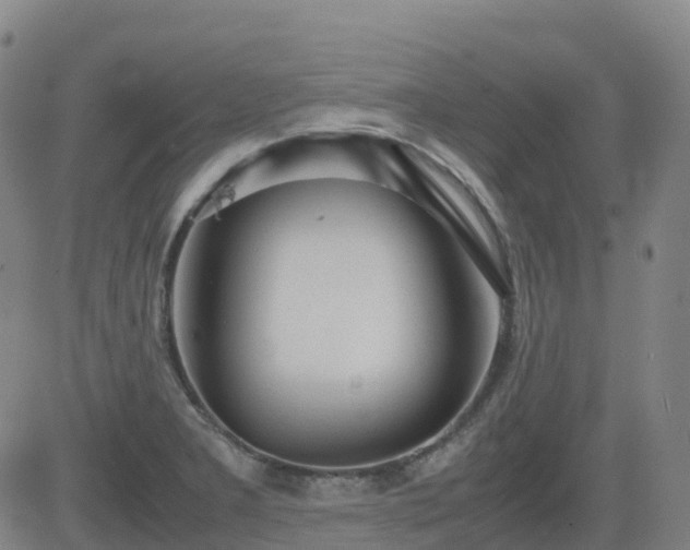 X0000083601277200702162159