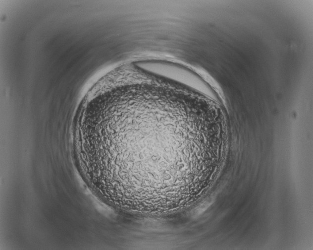 X0000083601287200702162159