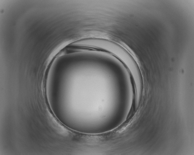 X0000083601293200702162159