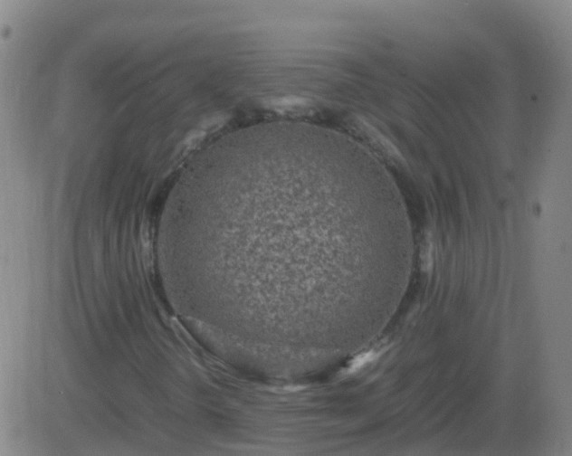 X0000083601298200702162158