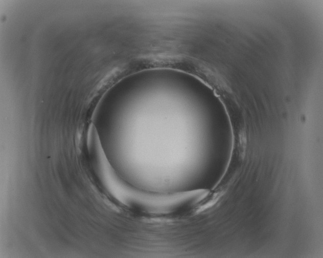 X0000083601300200702162158