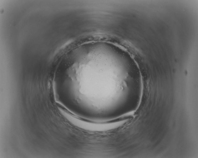 X0000083601302200702162158