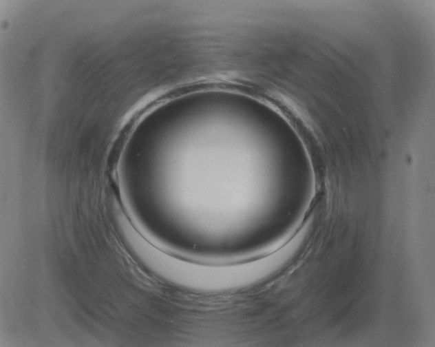 X0000083601308200702162158
