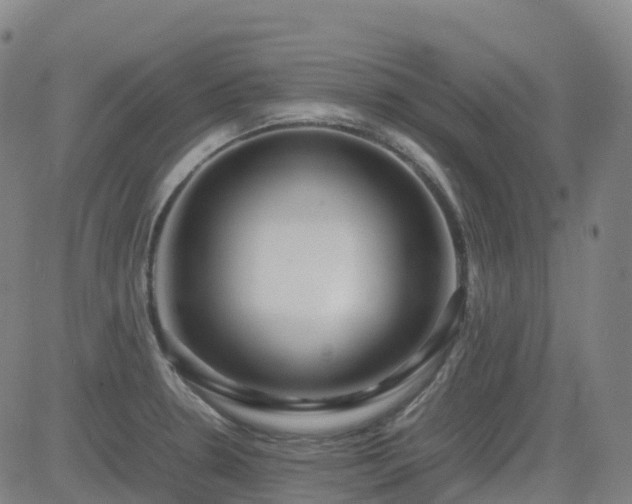 X0000083601330200702162159