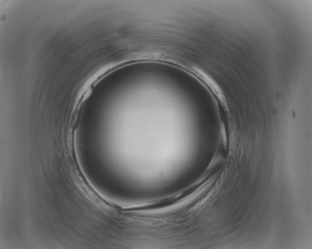 X0000083601340200702162159
