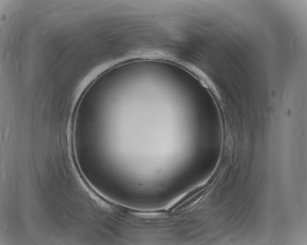 X0000083601343200702162159
