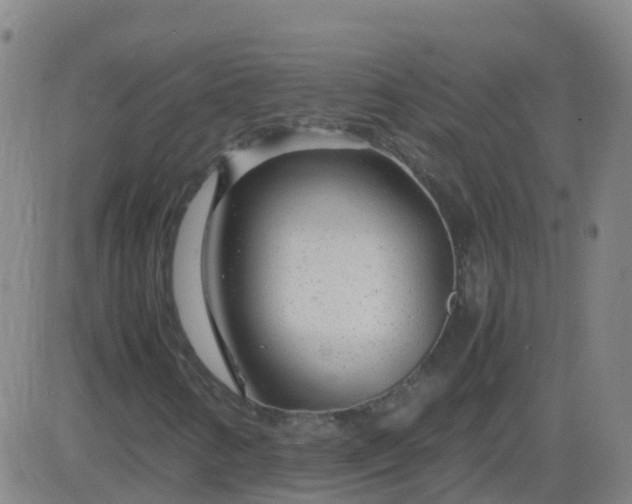 X0000083601346200702162158