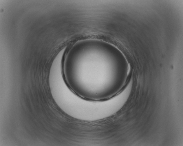X0000083601348200702162158