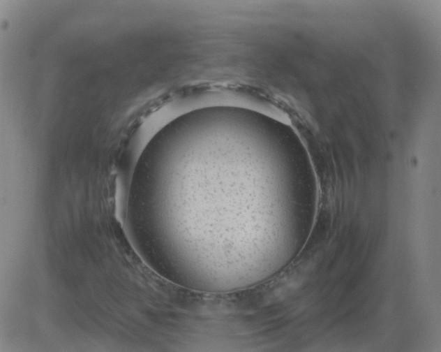 X0000083601350200702162158