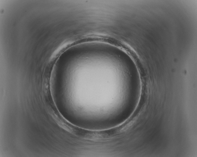 X0000083601355200702162158
