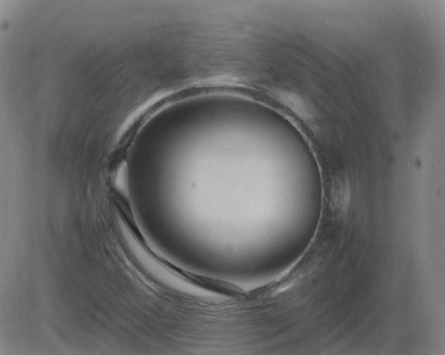 X0000083601356200702162158