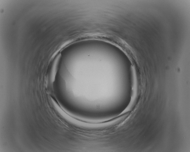 X0000083601361200702162158