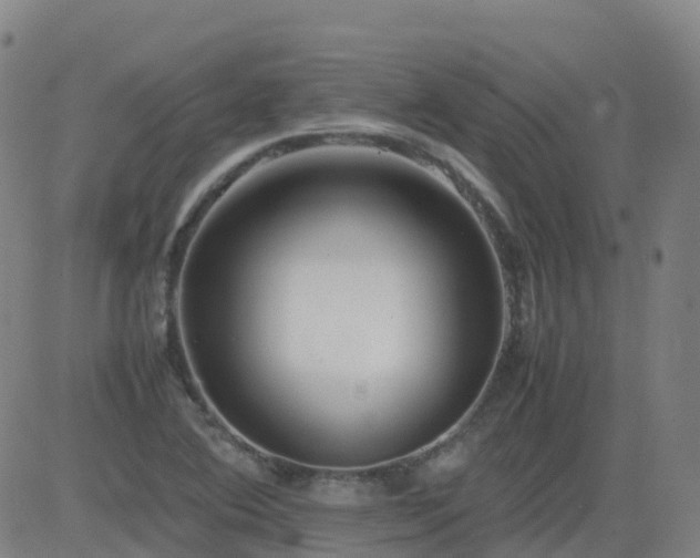 X0000083601364200702162158