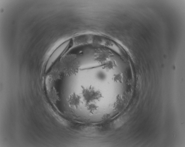 X0000083601367200702162158