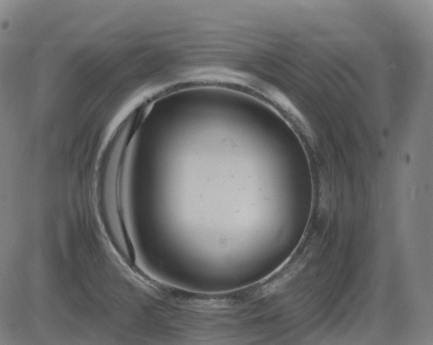 X0000083601376200702162158