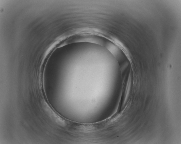X0000083601384200702162157