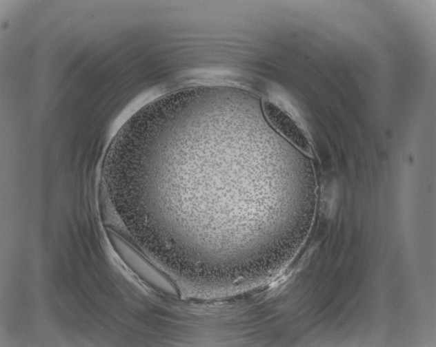 X0000083601386200702162157