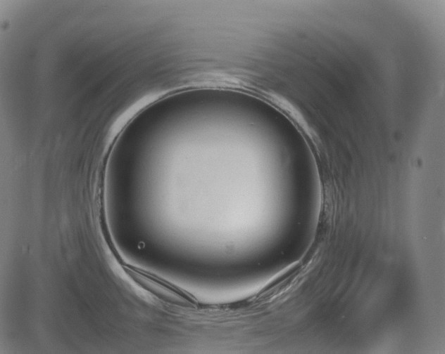 X0000083601387200702162157
