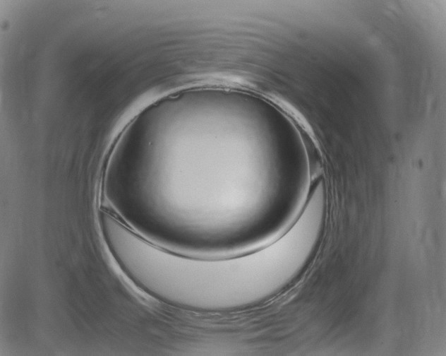 X0000083601391200702162157