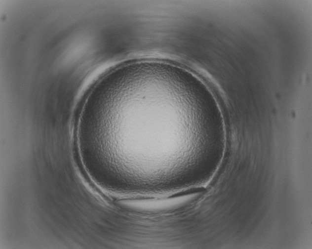 X0000083601416200702162157