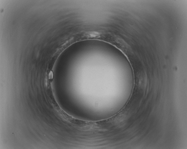 X0000083601442200702162156