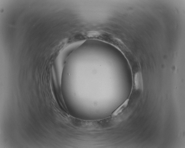 X0000083601443200702162156