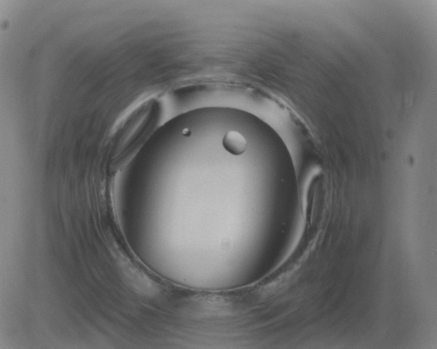 X0000083601450200702162156