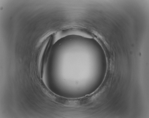 X0000083601453200702162156