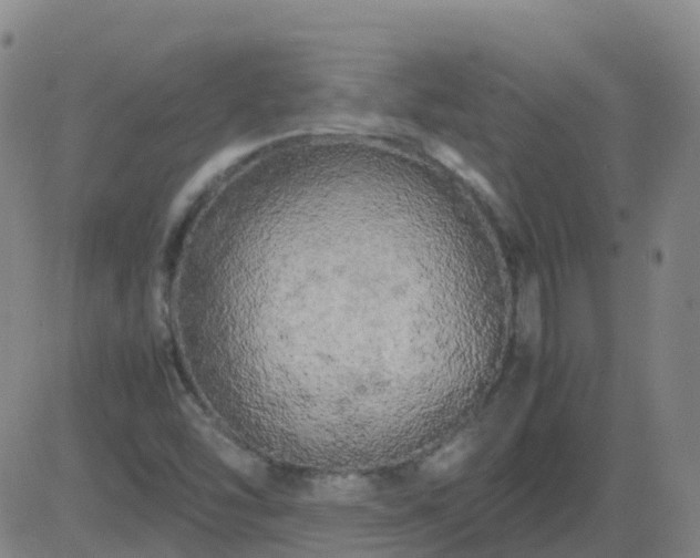 X0000083601454200702162156