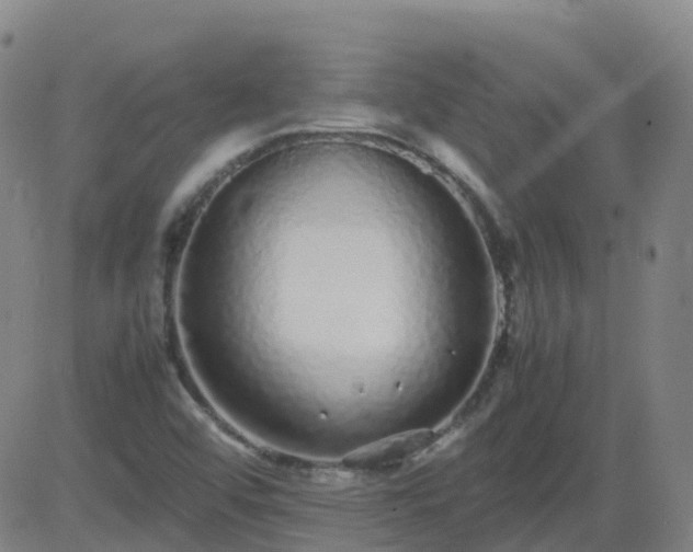 X0000083601456200702162156