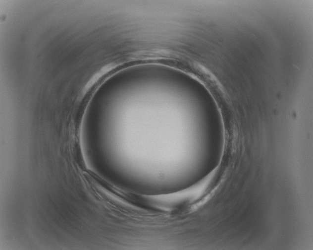 X0000083601457200702162156