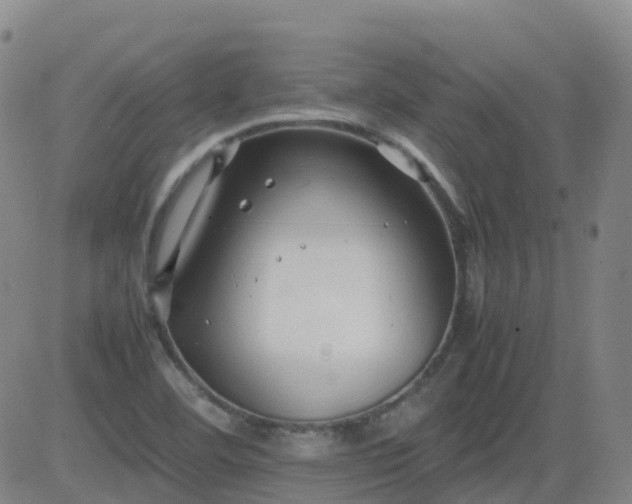X0000083601460200702162156