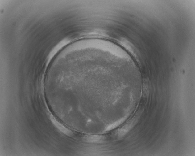 X0000083601474200702162156