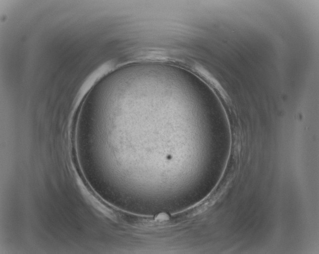 X0000083601475200702162156