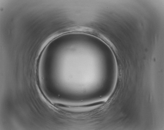 X0000083601483200702162156