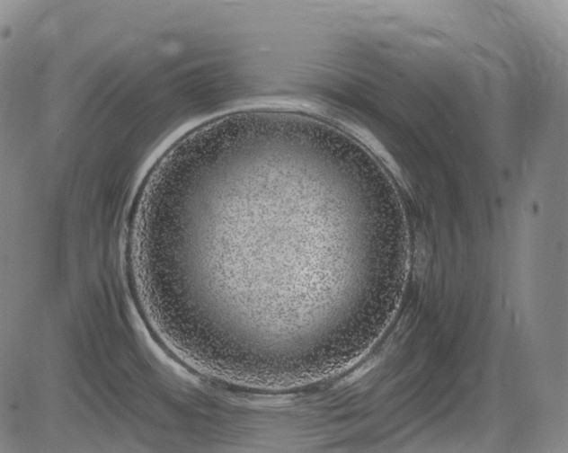 X0000083601484200702162156